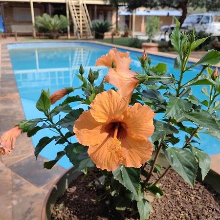 Kono Kono Guesthouse Northam ภายนอก รูปภาพ