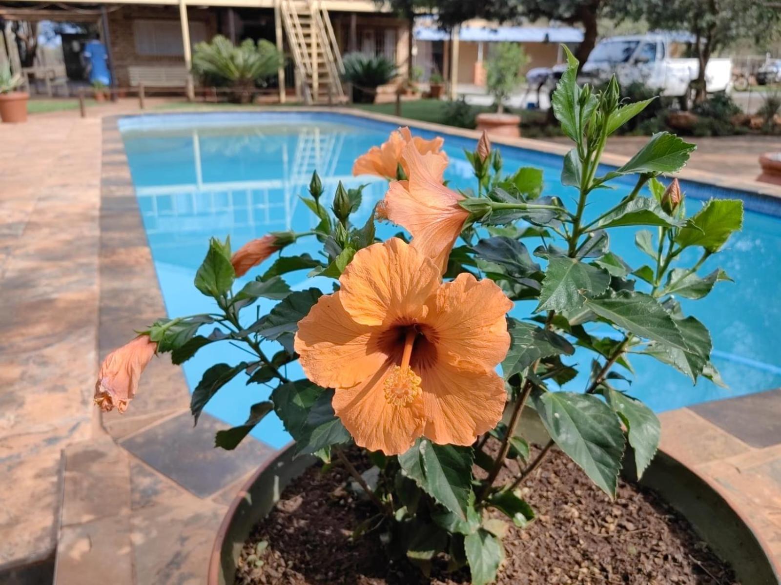 Kono Kono Guesthouse Northam ภายนอก รูปภาพ